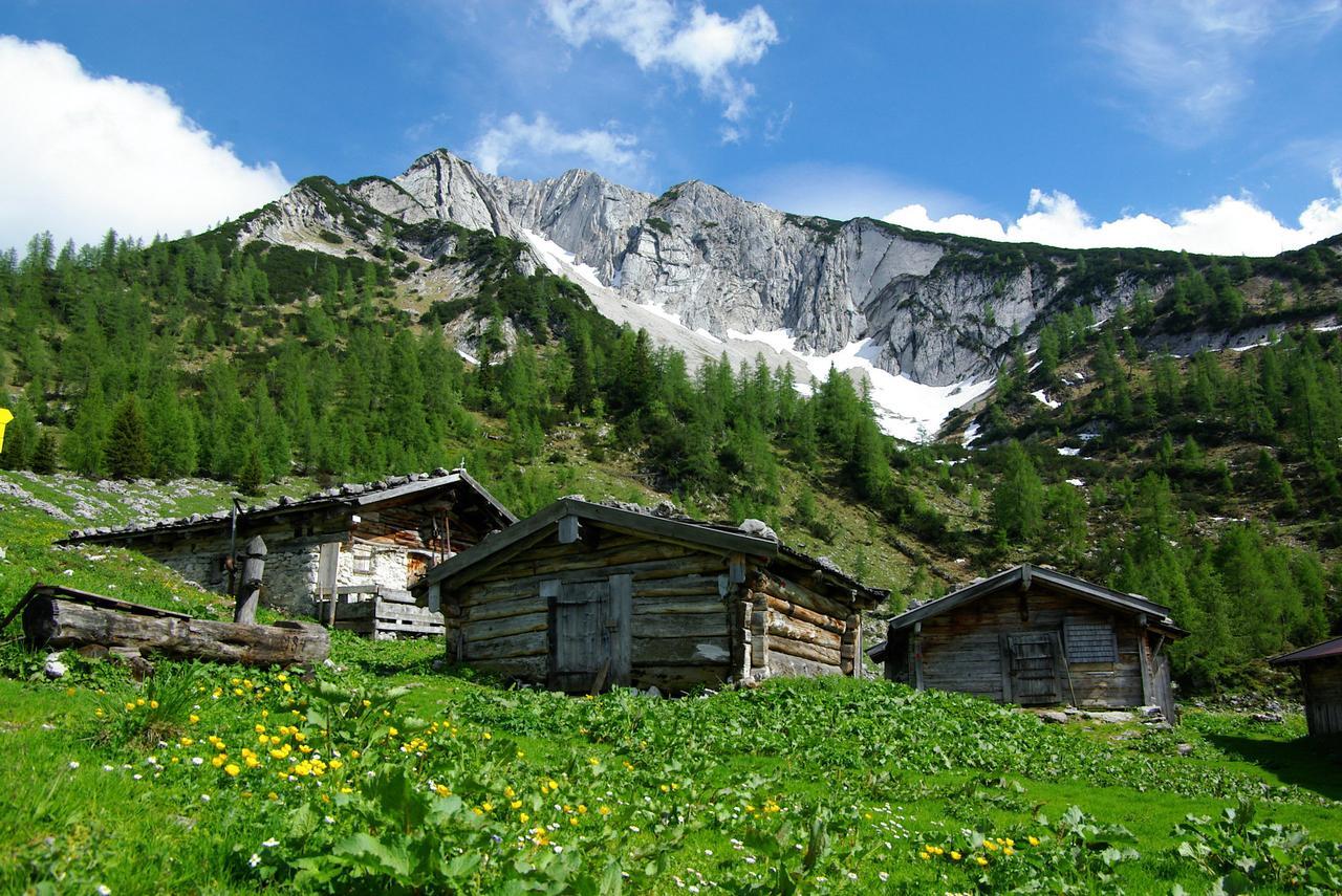 Apartment Landhaus Karwendel