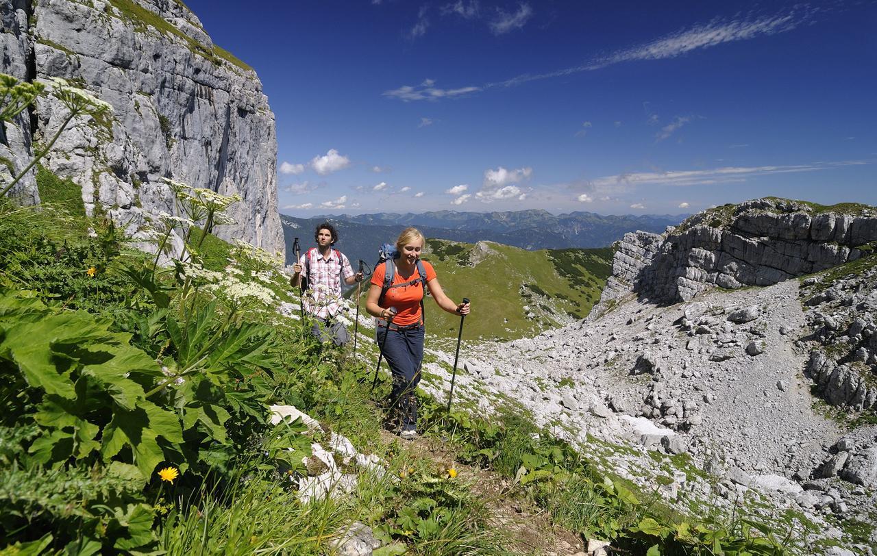 Apartment Landhaus Karwendel